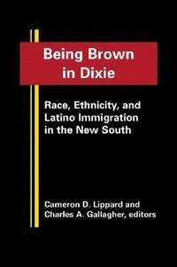 bokomslag Being Brown in Dixie