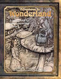 bokomslag Adventures in Wonderland: A Sourcebook for OGL Roleplaying Games