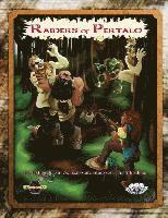 bokomslag Raiders of Pertalo