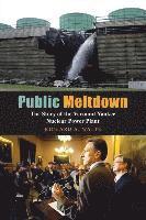 Public Meltdown 1