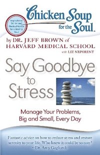bokomslag Chicken Soup for the Soul: Say Goodbye to Stress