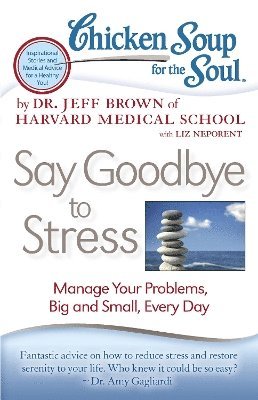 bokomslag Chicken Soup for the Soul: Say Goodbye to Stress