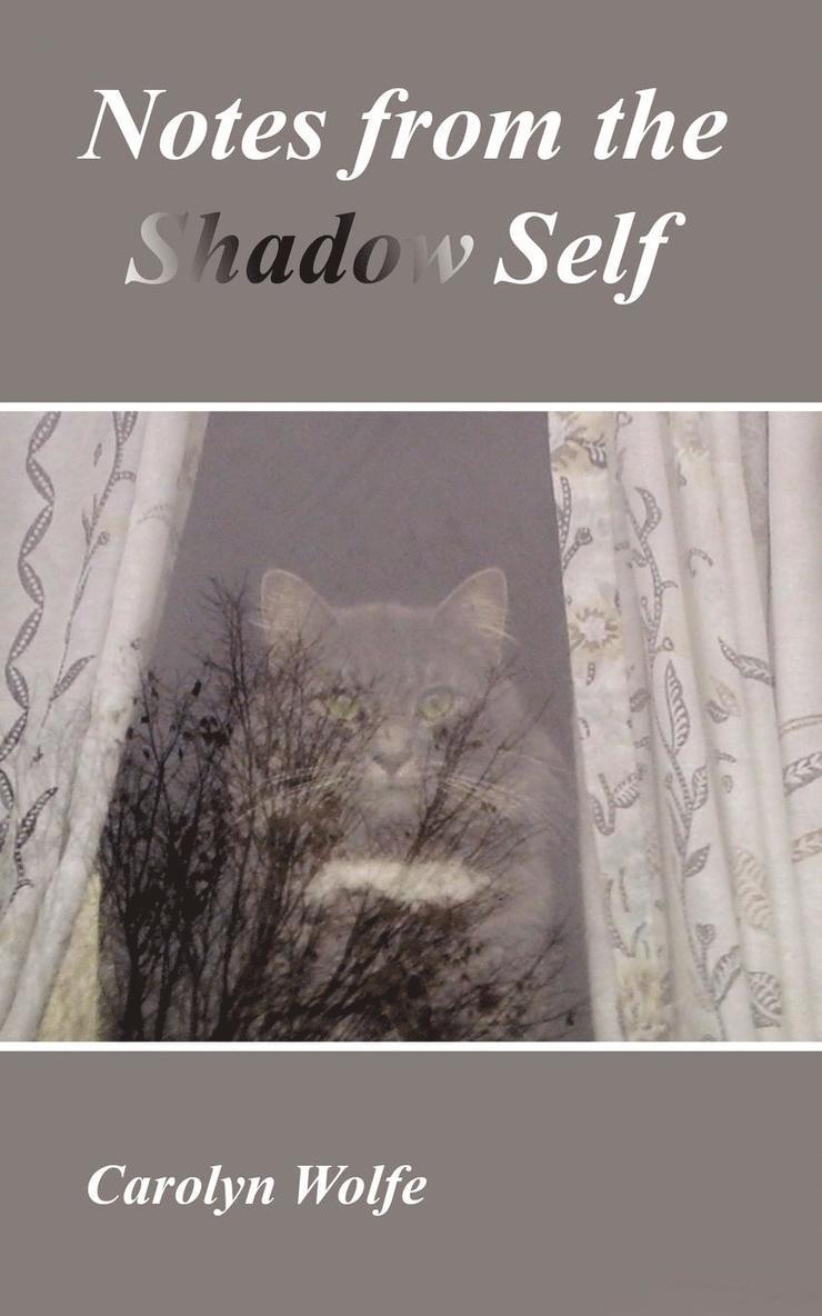 Carolyn Wolfe - Notes from the Shadow Self, Häftad