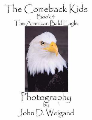 Penelope Dyan - Comeback Kids, Book 4, The American Bald Eagle, Häftad