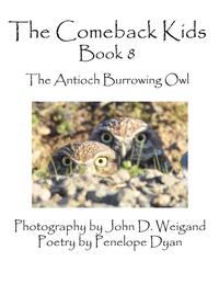 bokomslag The Comeback Kids, Book 8, The Antioch Burrowing Owls