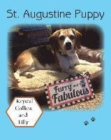 St. Augustine Puppy 1