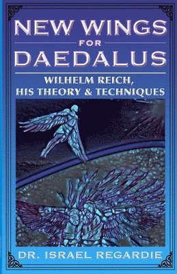 New Wings for Daedalus 1