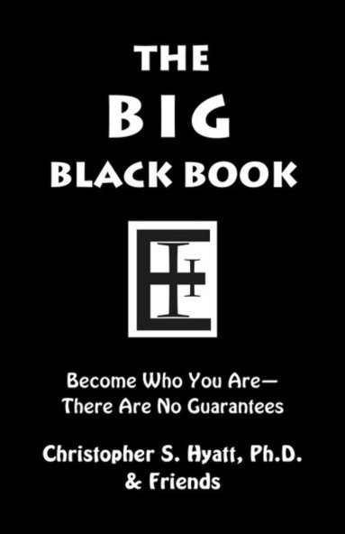 bokomslag Big Black Book