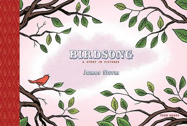 bokomslag Birdsong: A Story in Pictures: Toon Level 1