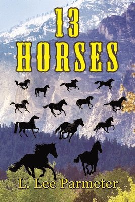 bokomslag 13 Horses
