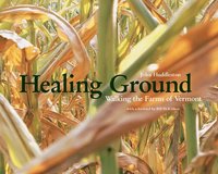 bokomslag Healing Ground