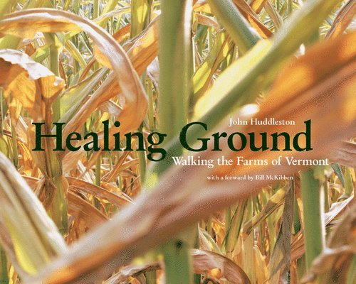 Healing Ground 1