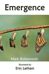 bokomslag Emergence