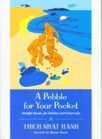 bokomslag A Pebble for Your Pocket