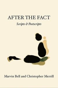 bokomslag After The Fact: Scripts & Postscripts