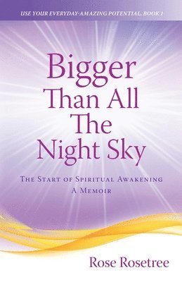 bokomslag Bigger than All the Night Sky