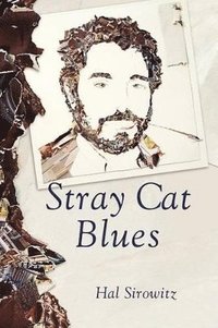 bokomslag Stray Cat Blues