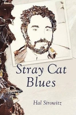 Stray Cat Blues 1