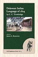 bokomslag Delaware Indian Language of 1824