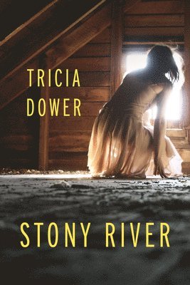 Tricia Dower - Stony River, Häftad