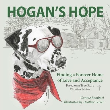 bokomslag Hogan's Hope