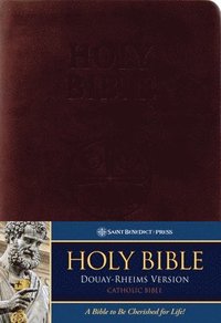 bokomslag The Holy Bible Douay-Rheims Standard Size