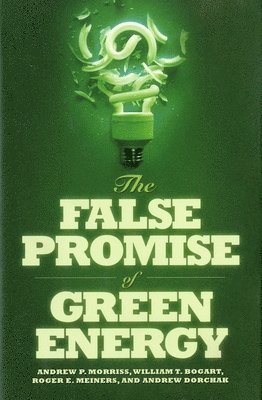 bokomslag False Promise of Green Energy
