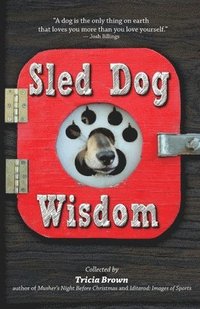 bokomslag Sled Dog Wisdom