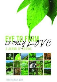 bokomslag Eye to Form Is Only Love: A Journal of 100 Days