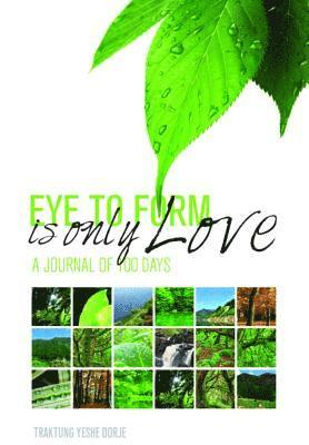 bokomslag Eye to Form Is Only Love: A Journal of 100 Days