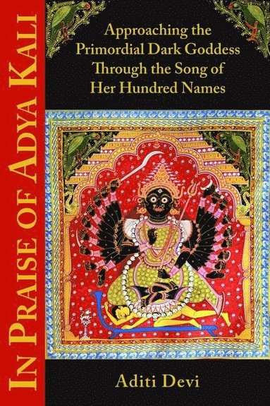 bokomslag In Praise of Adya Kali