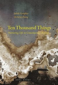 bokomslag Ten Thousand Things