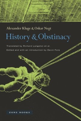 bokomslag History and Obstinacy