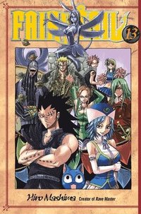 bokomslag Fairy Tail 13