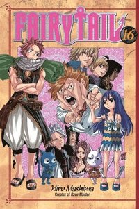 bokomslag Fairy Tail 16