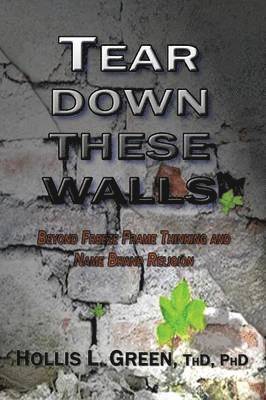 bokomslag Tear Down These Walls