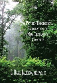 bokomslag A Psycho-Theological Exploration of New Testament Concepts