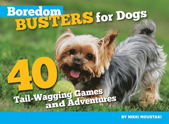 Boredom Busters for Dogs 1