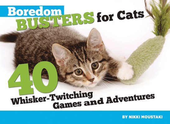 Boredom Busters for Cats 1