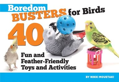 bokomslag Boredom Busters for Birds