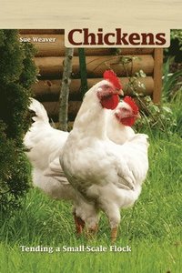 bokomslag Chickens