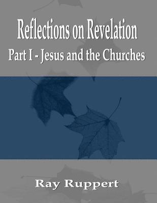bokomslag Reflections on Revelation