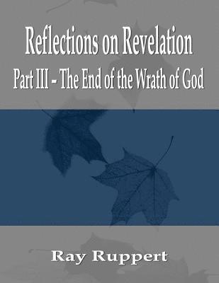 bokomslag Reflections on Revelation