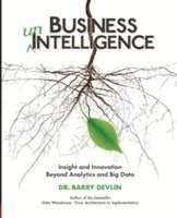 Business unIntelligence 1