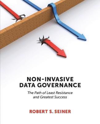 Robert S Seiner - Non-Invasive Data Governance, Häftad