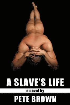 A Slave's Life 1