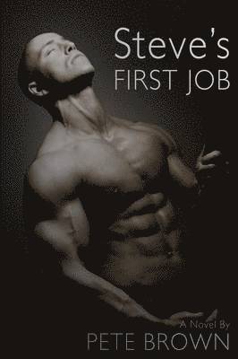 bokomslag Steve's First Job