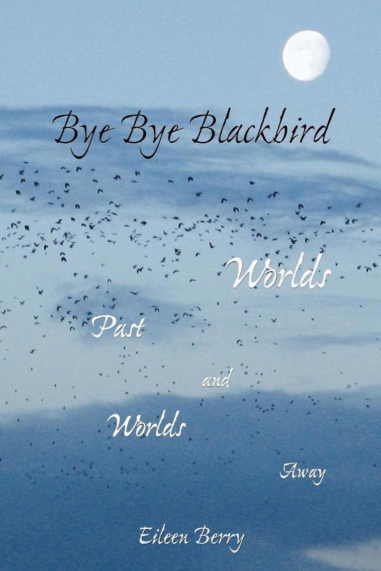 Bye Bye Blackbird 1