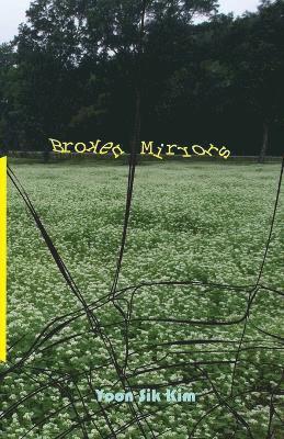 Broken Mirrors 1