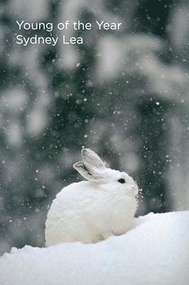 Sydney Lea - Young of the Year, Häftad